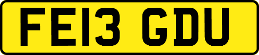 FE13GDU