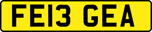 FE13GEA