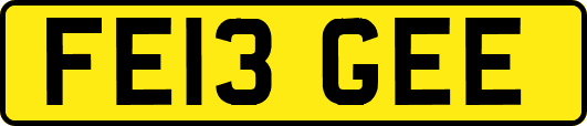 FE13GEE