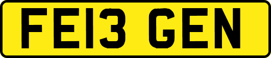 FE13GEN