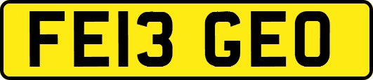 FE13GEO