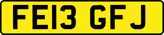 FE13GFJ
