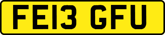 FE13GFU