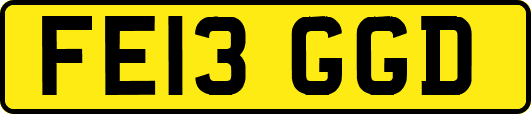 FE13GGD