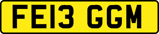 FE13GGM