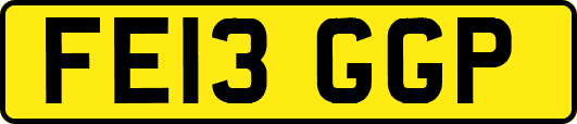FE13GGP