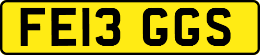 FE13GGS
