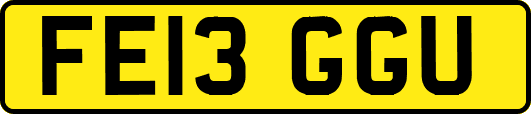 FE13GGU
