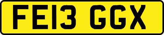 FE13GGX