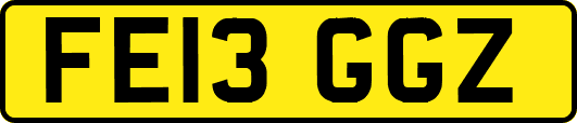 FE13GGZ