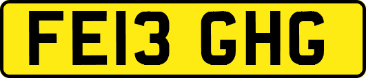 FE13GHG