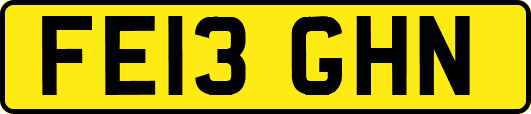 FE13GHN