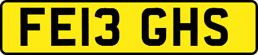 FE13GHS