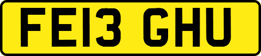 FE13GHU