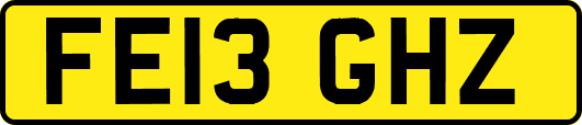 FE13GHZ