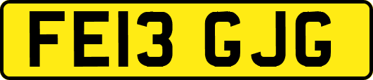 FE13GJG