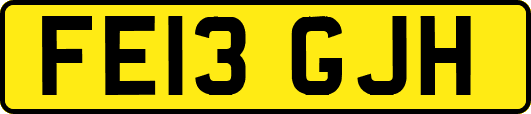 FE13GJH