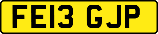 FE13GJP