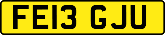FE13GJU