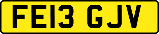 FE13GJV