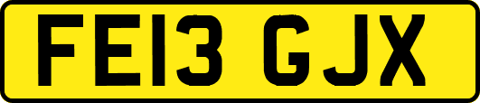 FE13GJX