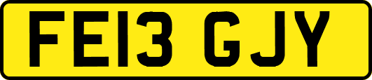 FE13GJY