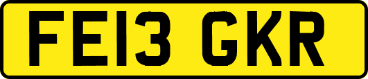 FE13GKR