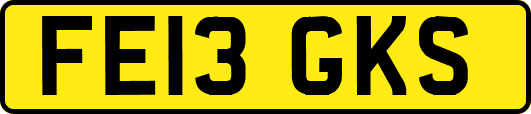 FE13GKS