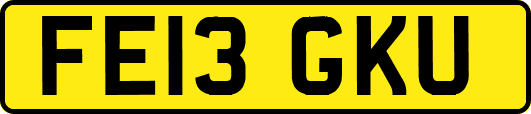 FE13GKU