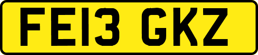 FE13GKZ
