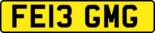 FE13GMG