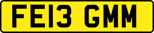 FE13GMM