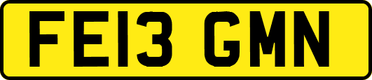 FE13GMN