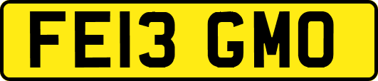 FE13GMO