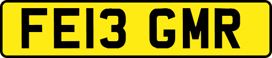 FE13GMR