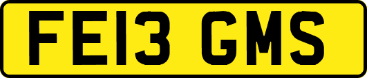 FE13GMS