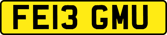 FE13GMU