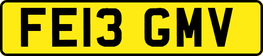 FE13GMV