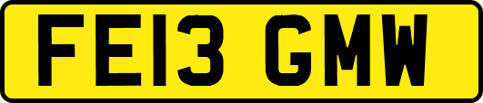 FE13GMW