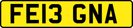 FE13GNA