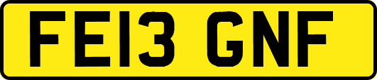 FE13GNF