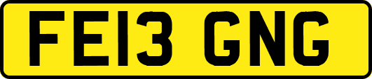 FE13GNG