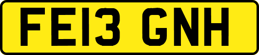 FE13GNH