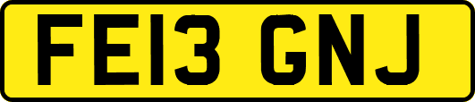 FE13GNJ