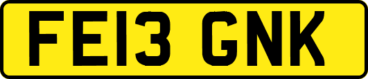FE13GNK