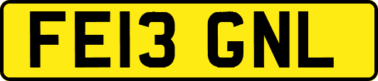 FE13GNL
