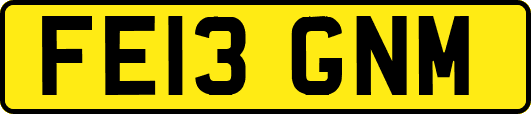 FE13GNM