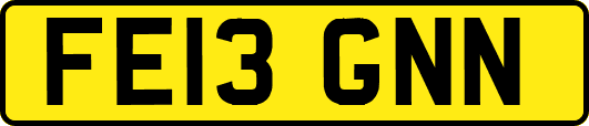 FE13GNN
