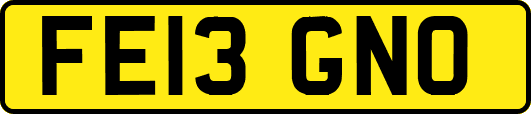 FE13GNO