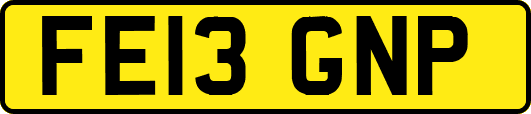 FE13GNP